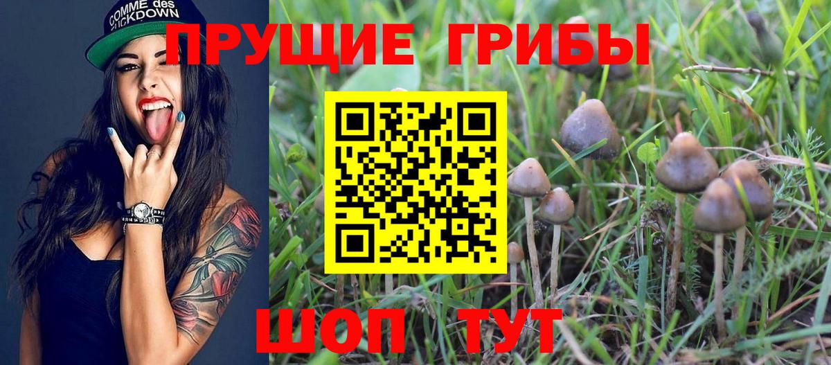Псилоцибиновые грибы мухоморы  Псилоцибиновые грибы MAGIC MUSHROOMS  Дербент  Вход с VPN 